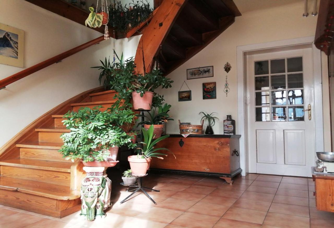 בית הארחה בלד 	Marta'S House מראה חיצוני תמונה
